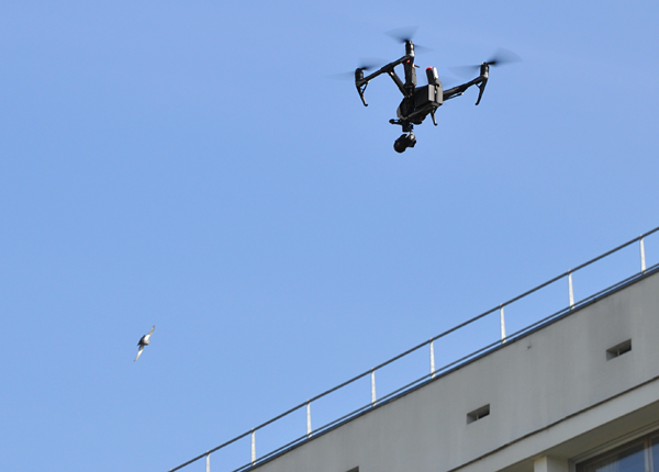 Zoom sur le Le DJI Inspire 2 en vol