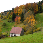 Cornimont, Hautes Vosges.Paysage relictuel d’une agriculture paysanne en cours de disparition ou fossilisée, malgré ses qualités environnementales et sociales reconnues par le discours dominant actuel.