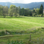 Prés aménagés en billons irrigués, Taintrux, Vosges gréseuses. Ces paysages hérités de la praticulture irriguée des Vosges sont en voie de disparition aujourd’hui. On voit encore sur ce site un réseau complexe de biefs ou royes et de petits aqueducs monolithiques en grès. Il ne bénéficie d’aucune protection.