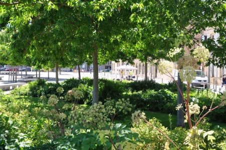 Espace bosquet, QG (tonnelle) et rubalise délimitant le périmètre de sécurité.