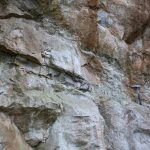 Front de taille de l'ancienne carrière de Cipolin au Chipal (nord de Fraize). Le calcaire métamorphosé du socle des Vosges moyennes est traversée par un sill de granite.