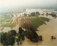 Gavisse - 11 avril 1983