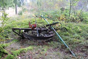 Friche de l’ancienne station de ski Belfahy, Mille Étangs. Cliché : Méplain C., septembre 2025